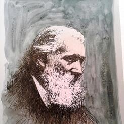 John Muir Portrait