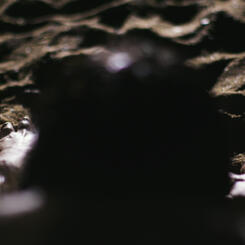 Still from 'What to Expect When You're Expecting'