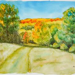 Harford Glen - Autumn I