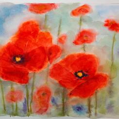 Poppies II