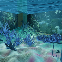 fishTank_A Coral Reef ◦ 2018