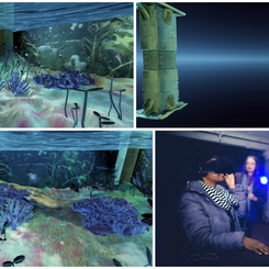 fishTank_A Coral Reef ◦ 2018