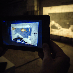 fishTank_sea ◦ 2018