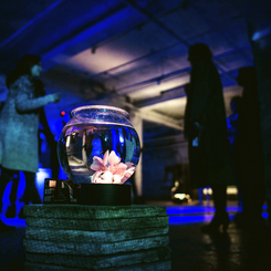 fishTank_flower ◦ 2018