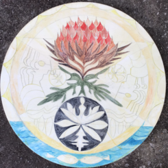 Born from restriction