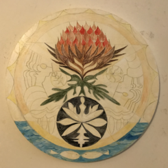 Born from restriction, displayed