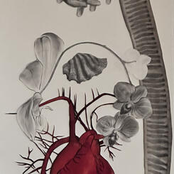 Essential Nature.jpg