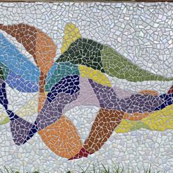 ACS mosaic