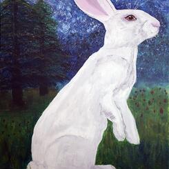 Cautiously Optimistic Rabbit