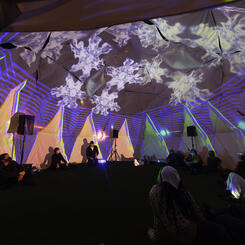 Future Canopies Exhibition