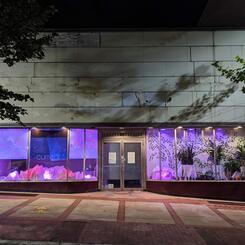 Fruiting Bodies Installation