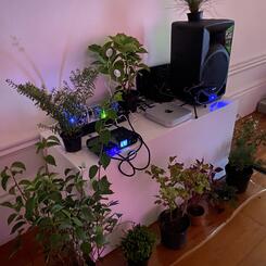 Installation at Jardim Botanico in Porto, Portugal