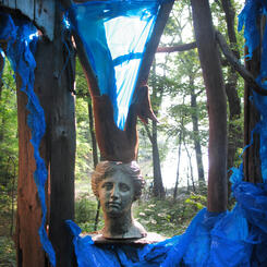 Forest House: view of the cove