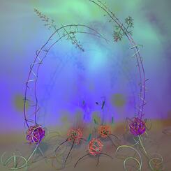 DNA Arising Transformed by the Virus 