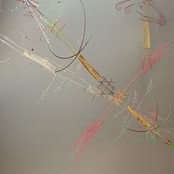 Ancient Dragon Flies 