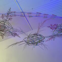 There are Viruses Amongst Us