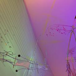 Detail Ancient Dragon Flies 