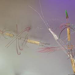 Ancient Dragon Flies 