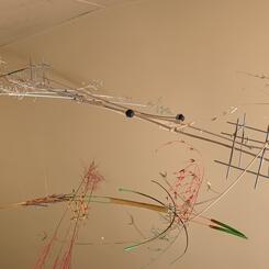 Ancient Dragon Flies 