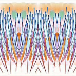 Touch and Trace: Architecture as Interface