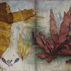 Botanical Findings #2