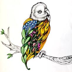 BIrDFLIGHTS.jpeg