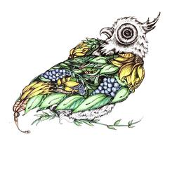 Owl Flowers.JPG