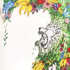 lions roar.jpg