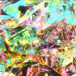 macaronivsnewshit insta feature.0040392.jpg