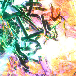 macaronivsnewshit insta feature.0070069.jpg