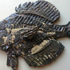 Fossil Fish 2