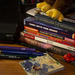 playground (book stack detail)