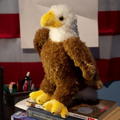 playground (eagle detail)