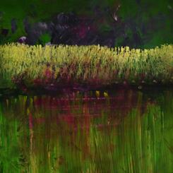 Marsh Nocturne 