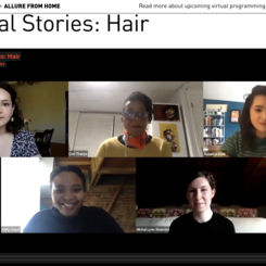 Museum Panel at the Smart Museum of Art // Material Stories: Hair (May 2020)