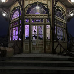 Patterson Park Pagoda 2020