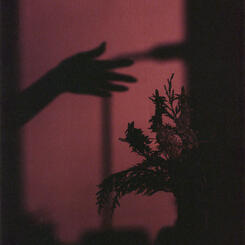 Self with Flowers at Sunrise