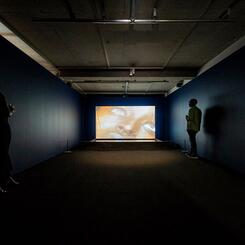 Installation full view