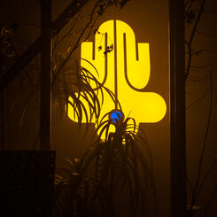 LYRICOS DE LUZ Object No.2