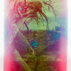 Liminality: Lost Angeles