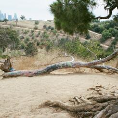 Liminality: Lost Angeles