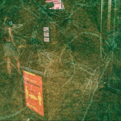 Thanks For Social Fishing