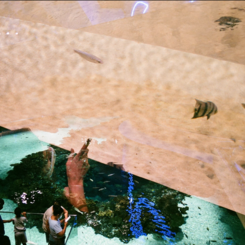 Observing the Observed