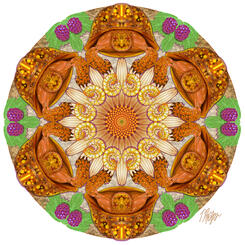 Box Turtle Diet Mandala