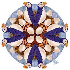 North Atlantic Puffin Nest Mandala
