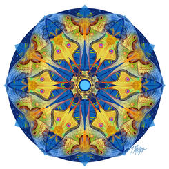 Moonlight Moon Moth Mandala