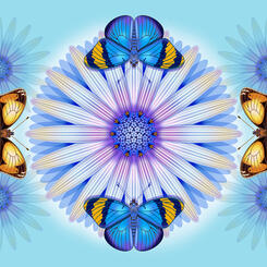 African Daisy and Butterfly Rotatable Nature Panel