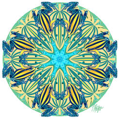 Amazon Striped Dart Frog Mandala