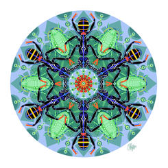 Ant and Aphid Mandala