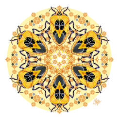 Art Deco Yellow Shield Bug Mandala